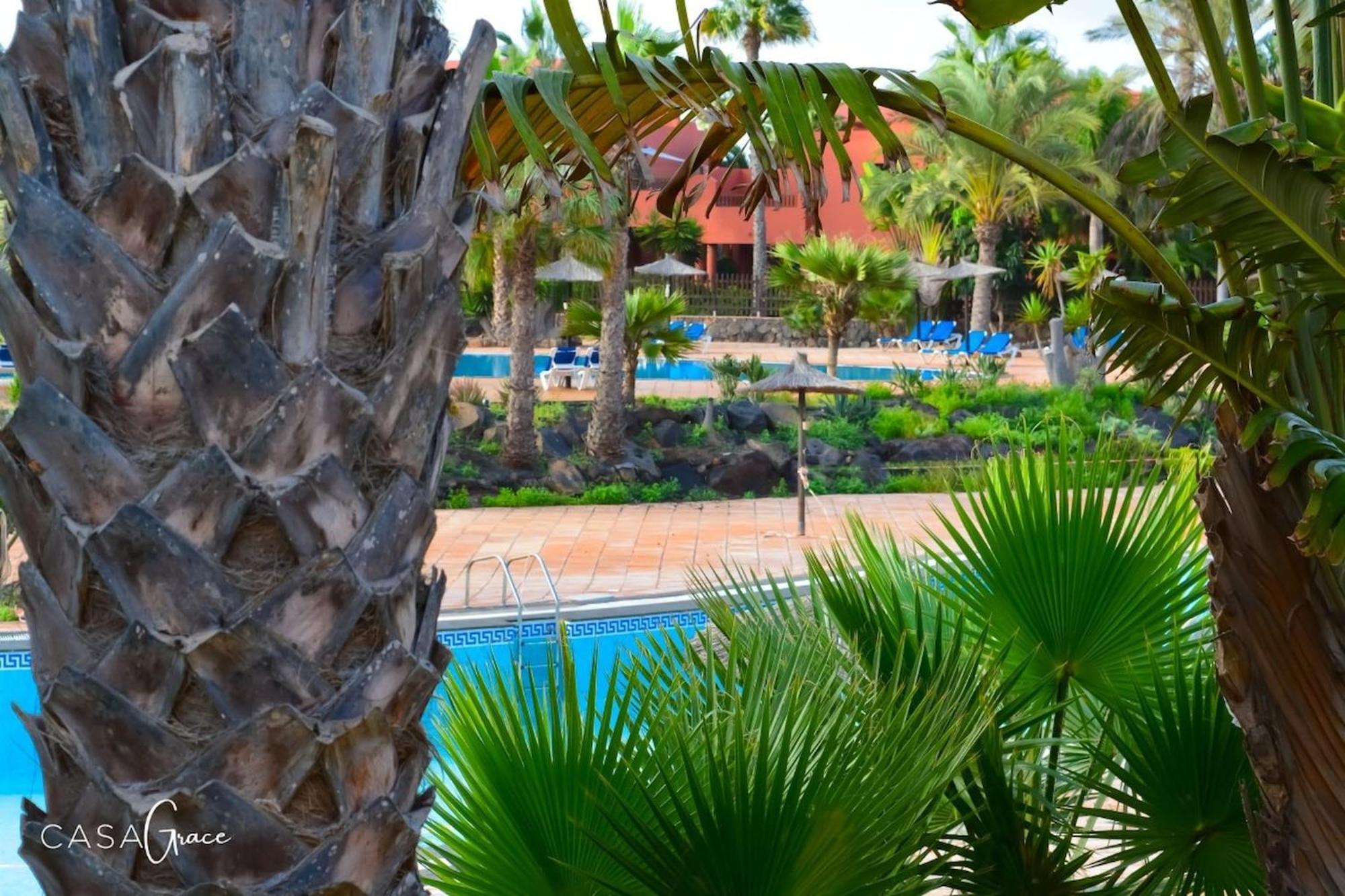Tamarindo 1 Casa Grace Wifi Free Pool View By Rentalfue Corralejo Extérieur photo